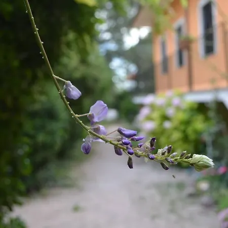 Portocielo Yoga E Mare Homestay