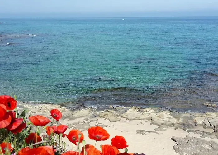 Pansiyon Portocielo Yoga E Mare
